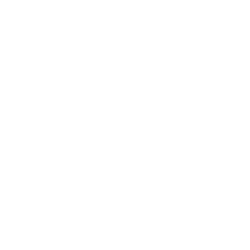 Best Choice